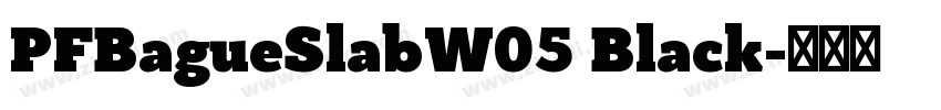 PFBagueSlabW05 Black字体转换